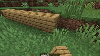 Make a minecraft house 1 18 1