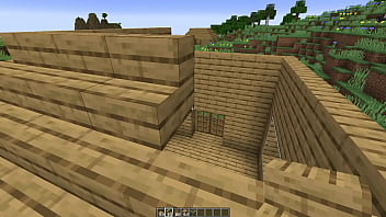 Make a minecraft house 1 18 1