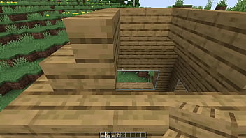 Make a minecraft house 1 18 1