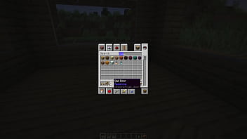 Make a minecraft house 1 18 1