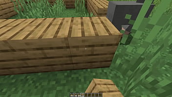 Make a minecraft house 1 18 1