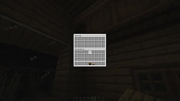 Make a minecraft house 1 18 1