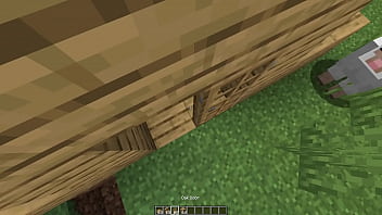 Make a minecraft house 1 18 1