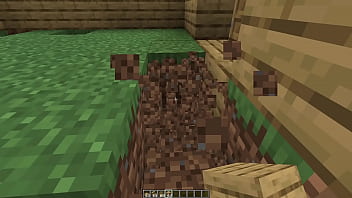 Make a minecraft house 1 18 1