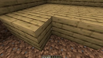 Make a minecraft house 1 18 1