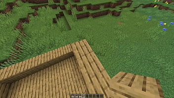Make a minecraft house 1 18 1