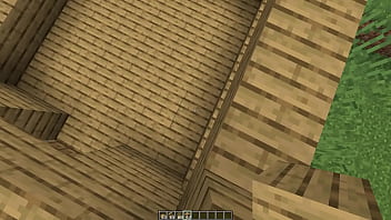 Make a minecraft house 1 18 1