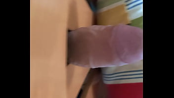 I will fuck anything