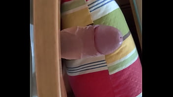 I will fuck anything I will fuck anything