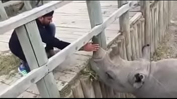 12011960 913650942003355 1210259630 n