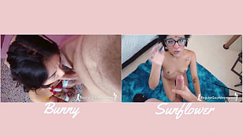 Versus#3 bunny vs sunflower