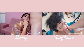 Versus#3 bunny vs sunflower