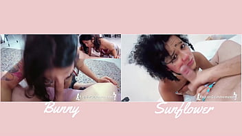 Versus#3 bunny vs sunflower