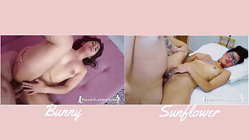 Versus#3 bunny vs sunflower