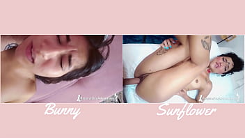 Versus#3 bunny vs sunflower