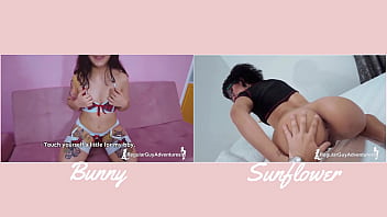 Versus#3 bunny vs sunflower