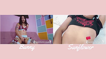 Versus#3 bunny vs sunflower