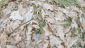 Stranger in the woods gets to suck dick