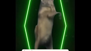 She's letting down more than her hair—unleashing a blush of forbidden fairy tale innocence here; this tower hides a siren’s sultry it aigirl digitalsiren blondelatex pinkqueen fantasylure viralglow aimodel