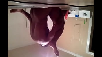 Bust It Open thumbnail