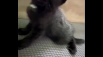 Spending all summer taking care of kittenzz i miss them already but bruja its though work