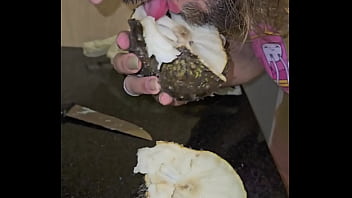 Bedengus chupando graviola fruta oral