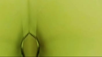 You rim bee 's booty