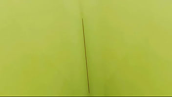 You rim bee 's booty