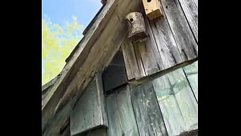 Outfit check rate my 1 is bad 10 is the best i’m absolutely loving this body hugging outfit with all th