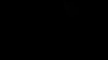 Видео для верификации