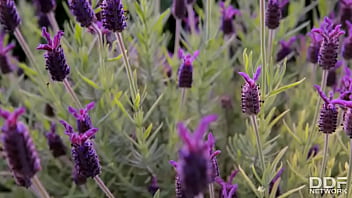 Fetish fuck brunette babes get kinky