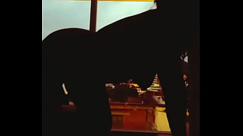 Zapatits city lights behind my tits and ass