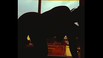 Zapatits city lights behind my tits and ass