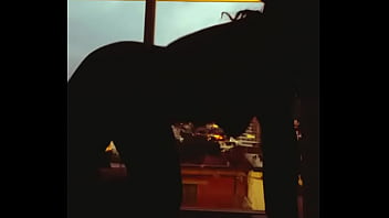 Zapatits city lights behind my tits and ass