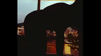 Zapatits city lights behind my tits and ass