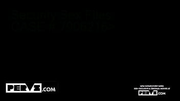 Case no 7906216 the jealous thief