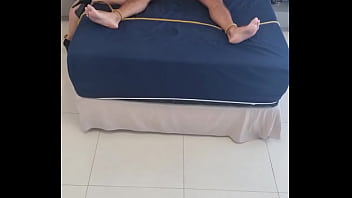 Alineflavio update #156 20240930 113846 3 oct 01 2024