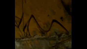 Putinha na orla da praia