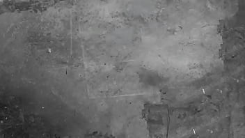 Vintage silent films