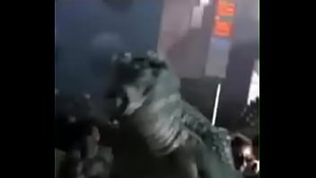 Tu gfa se come mi polla