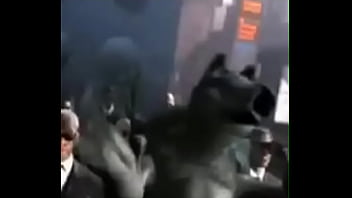 Tu gfa se come mi polla