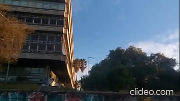 Giving a blowjob plain in daylight outdoors