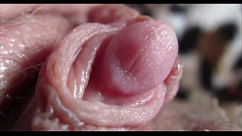 Pussy orgasmo Pussy orgasmo