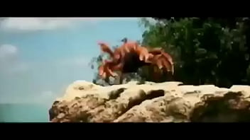 Olha essas coisas gostosas dançando