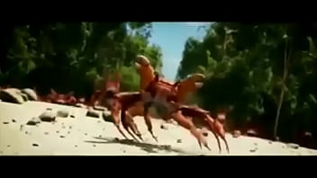 Olha essas coisas gostosas dançando