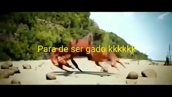 Olha essas coisas gostosas dançando