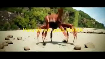 Olha essas coisas gostosas dançando