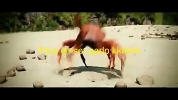 Olha essas coisas gostosas dançando