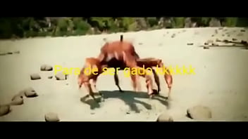 Olha essas coisas gostosas dançando