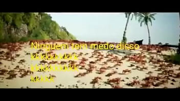 Olha essas coisas gostosas dançando